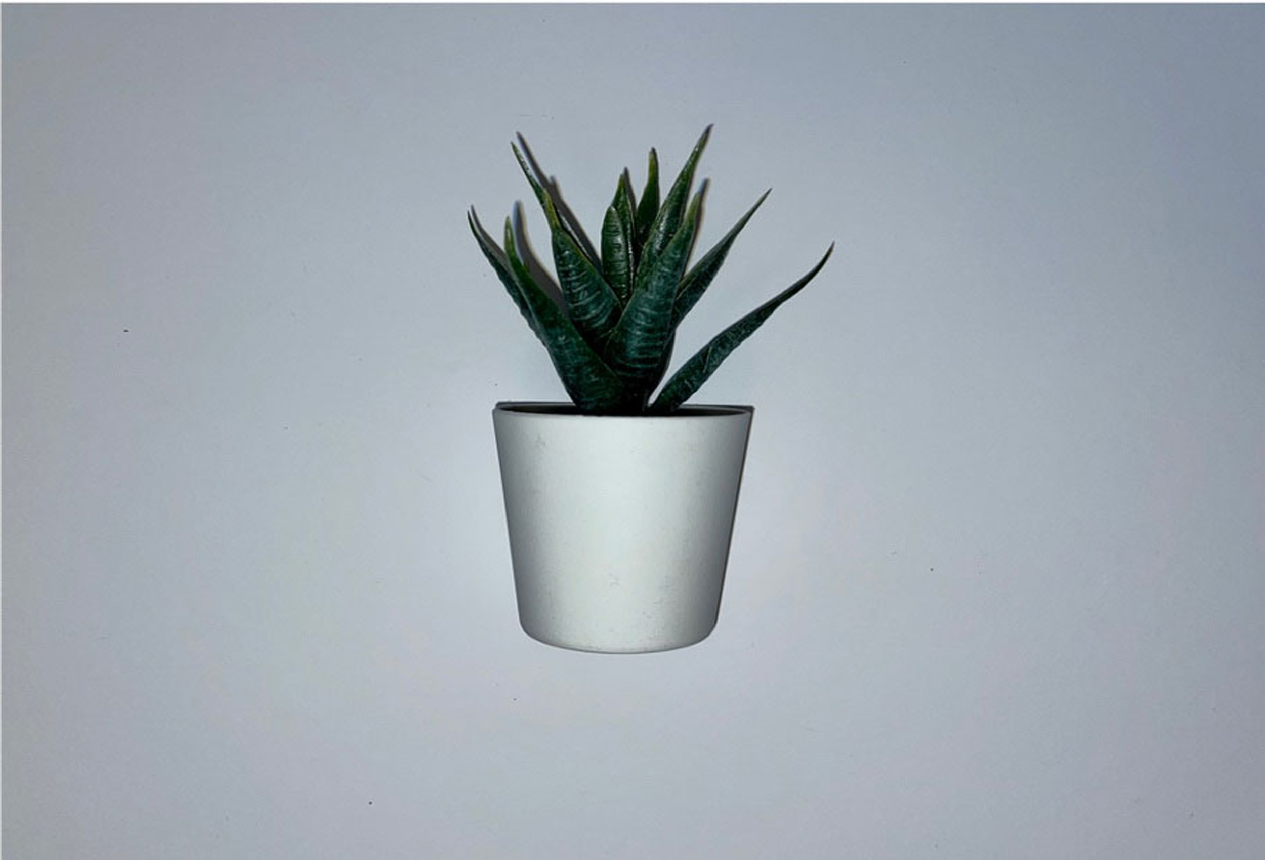 Seven